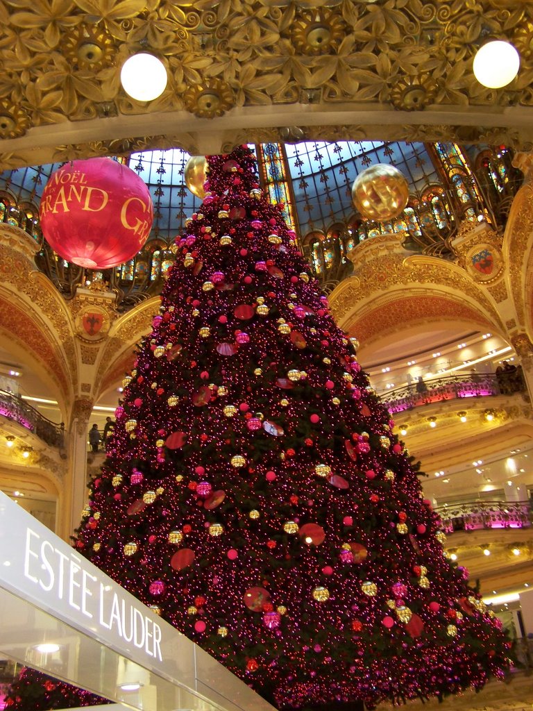 Galeries Lafayette by Nagyezsda Czegledi