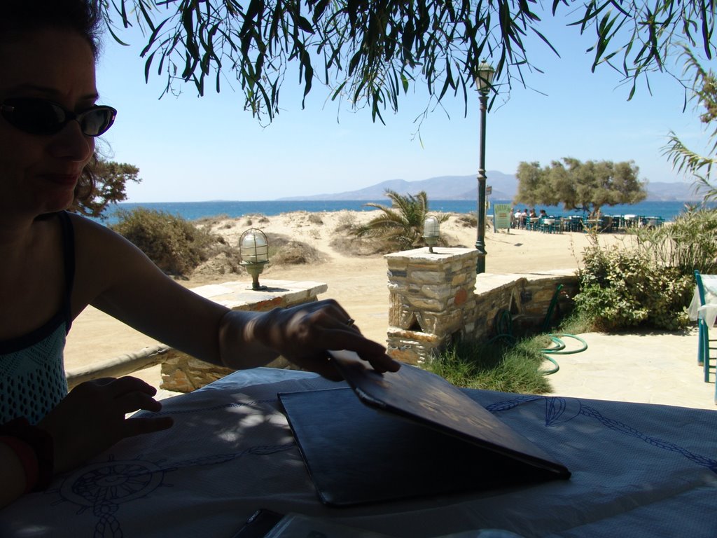 View from Paradiso Taverna, Plaka Beach, Naxos by D. Tremper