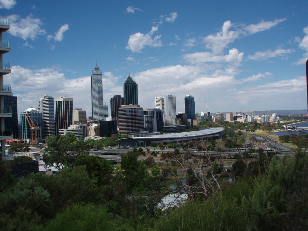 View to Perth from King's Park by Robin P.