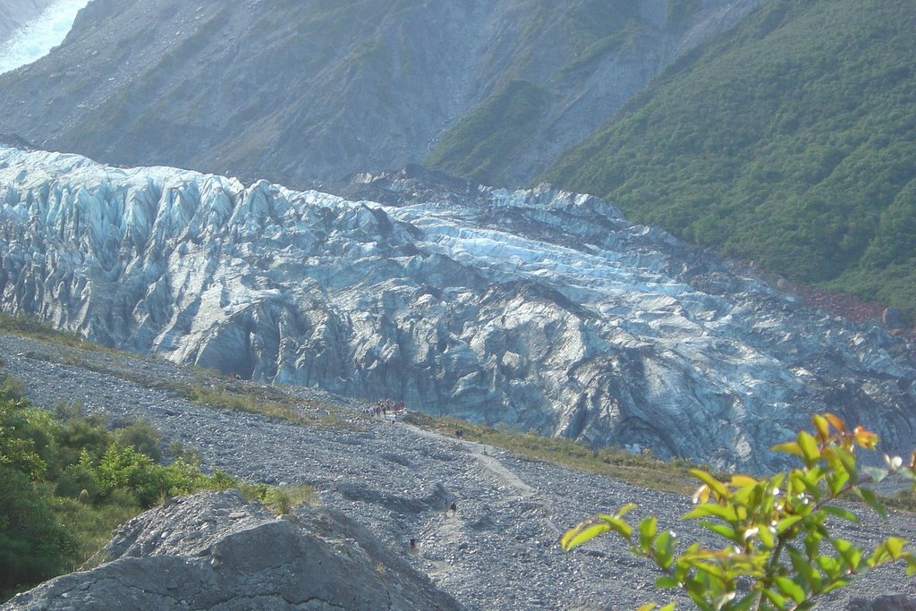 Fox Glacier, Westland NP by sirbusby