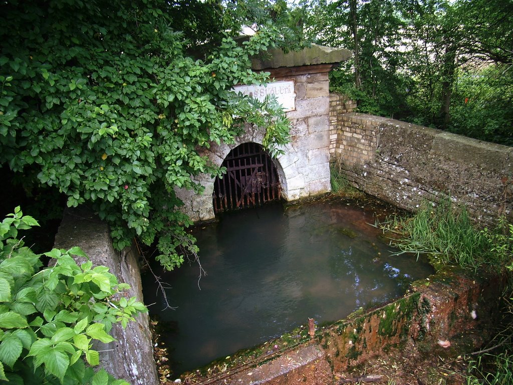 Mundloch Segen-Gottes-Stolln, Sangerhausen by matmicpic