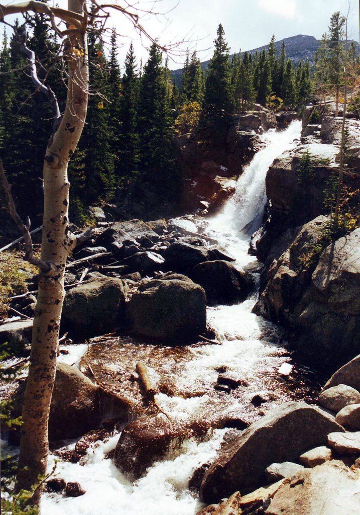 Alberta Falls, Rocky Mountain NP by Peter Connolly