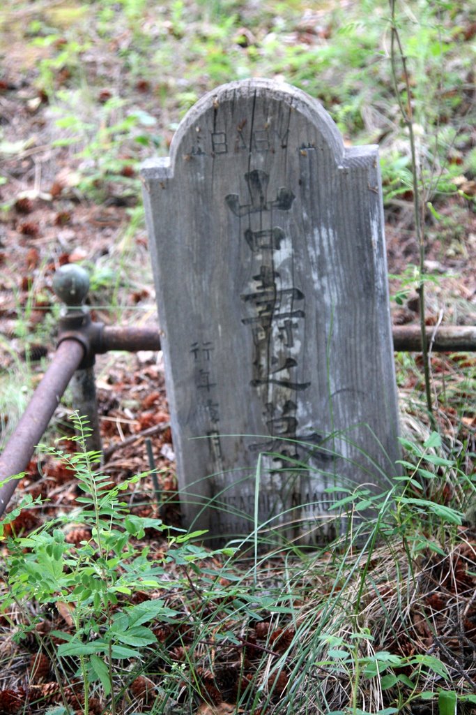 Hillside Cemetery (The Public or Protestant Cemetary) BABY, Dawson City, YT by Ken Heaton