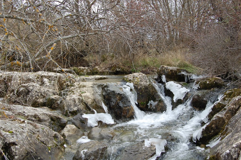 Cascada by José Ibáñez