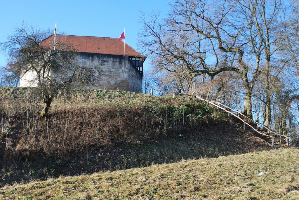 "Wäscherschloss" by Helmut Salzer