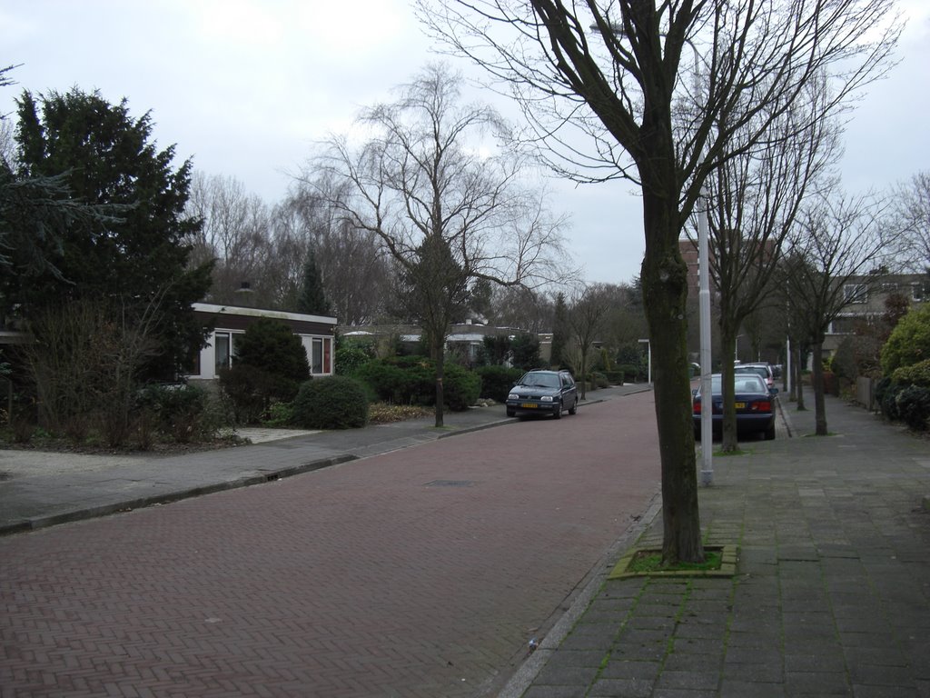 Groenelaan, Amstelveen, Netherlands by Bernard Hübner