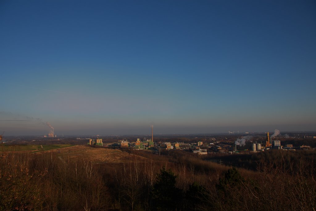 Bergkamen, auf der Halde "Am großen Holz" by Uwe Posdziech