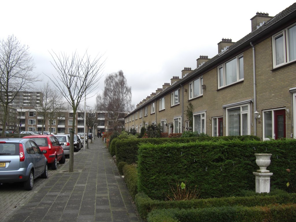 Groenelaan, Amstelveen, Netherlands by Bernard Hübner