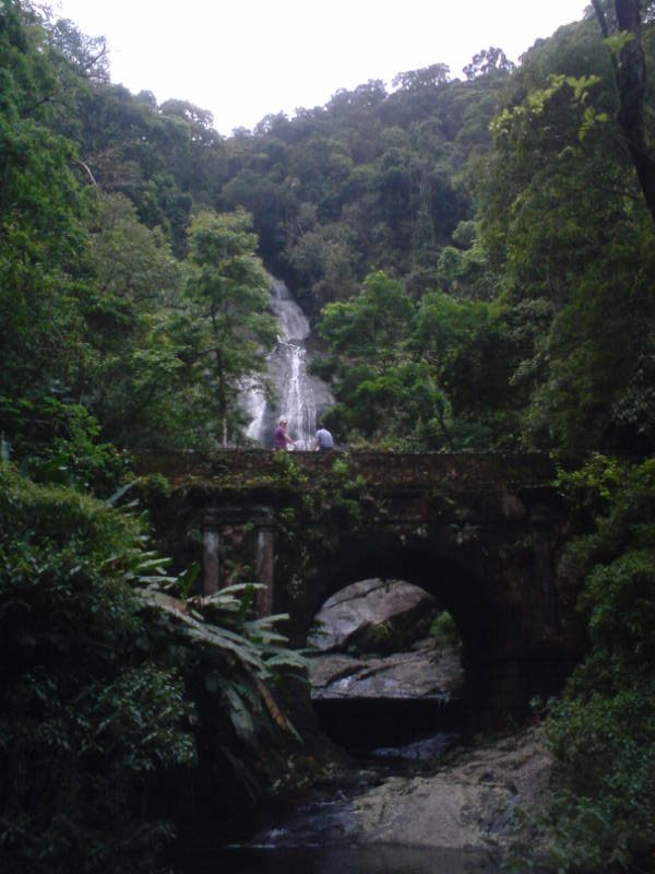 Parque da Tijuca 02 by birojuice