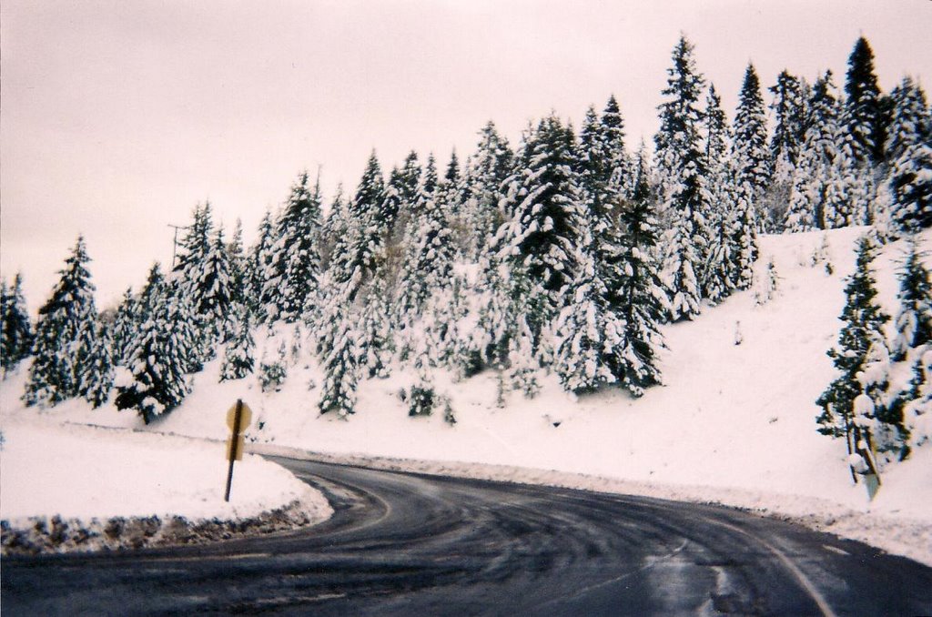 Oregon/ california state line by MOMO R15