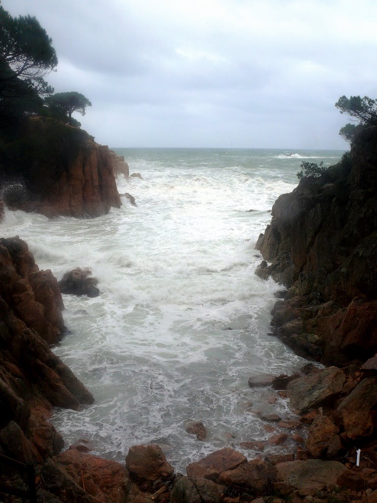 Cala de l'Ametller. (entre St Feliu i S'Agaró ) by xixoto@gmail.com