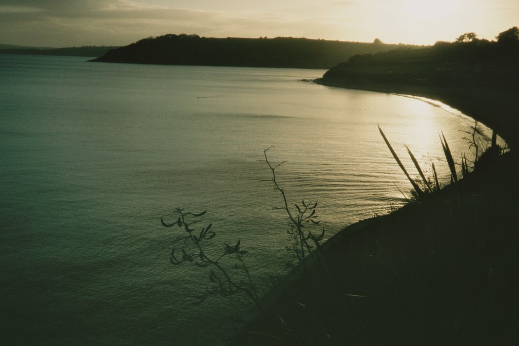 Helford Roads from Castle Beach Falmouth by jonathanpolkest