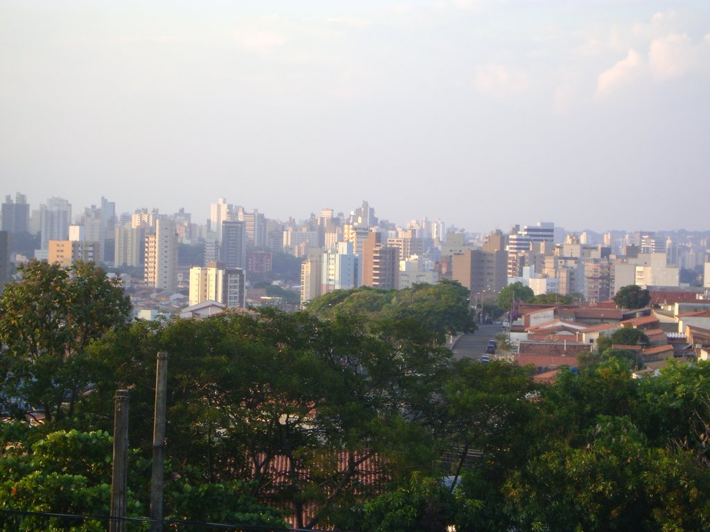 Swift - vista parcial da cidade - a rua que surge logo apos as arvores é a R. Arlindo Joaquim de Lemos by Alexander Denarelli