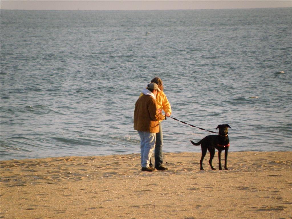 Winter at the Shore by F RIM