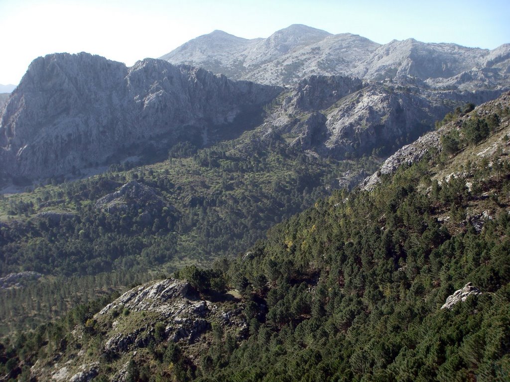 Travesía del Pinsapar - Vista de la Sierra del Endrinal by Club Sierra del Pina…