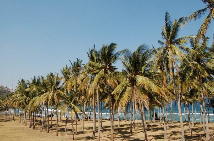 Malaka, Pemenang, North Lombok Regency, West Nusa Tenggara, Indonesia by cinchai