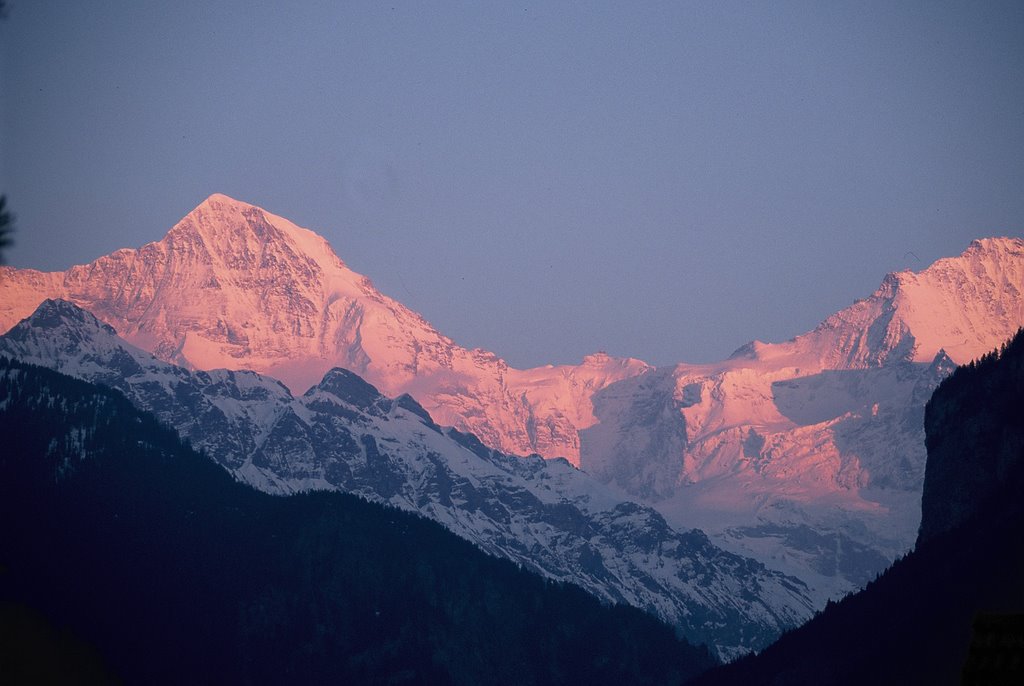 Sunset over the Jungfrau, from Wilderswil by Neil Protheroe