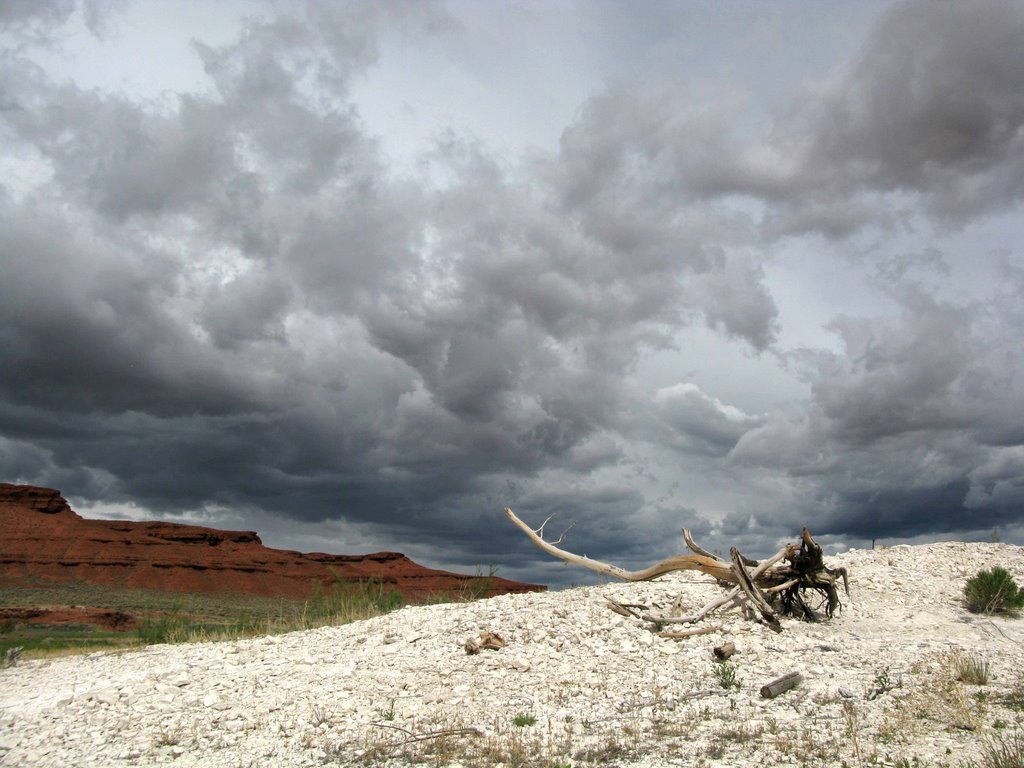 Big Horn County, WY, USA by Thom Buys