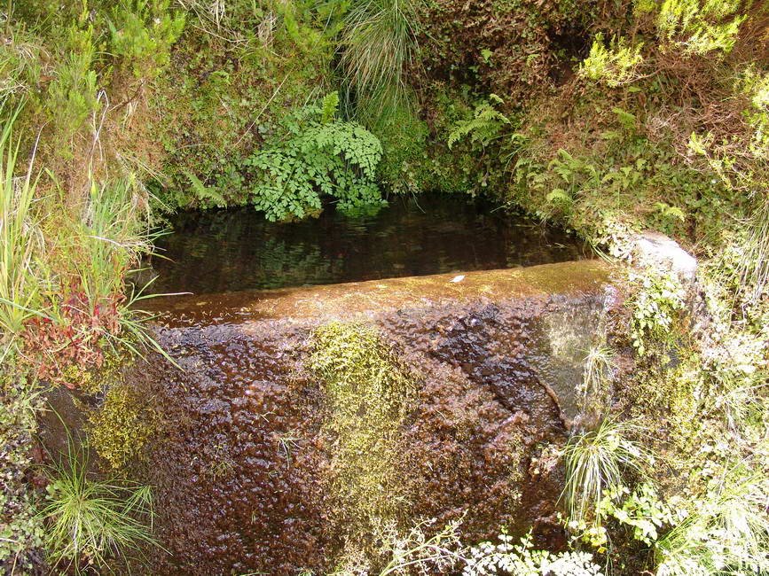 Levada do Risco by barbatulissimus