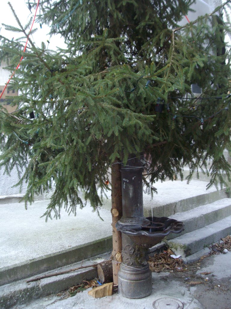 Fontana natalizia in via stallaggio e struscio by fornese