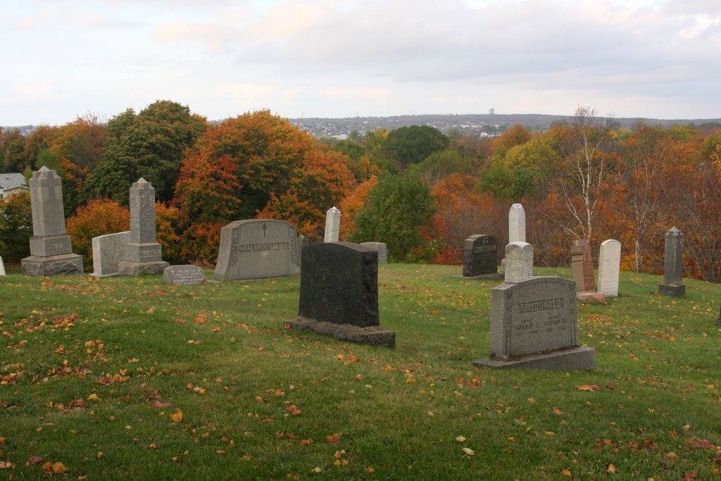 Fall Colours, Holy Cross (Gritton Ave.) Catholic Cemetery, Sydney, NS by Ken Heaton