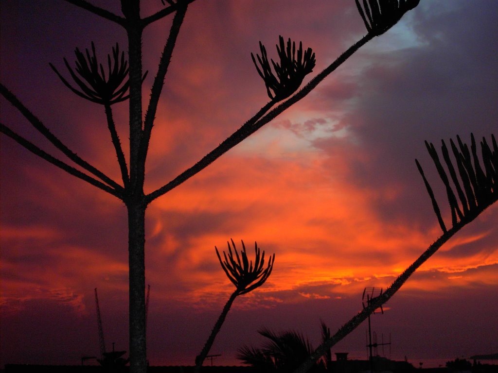 Sunset Ayia Napa by Y Ioannou