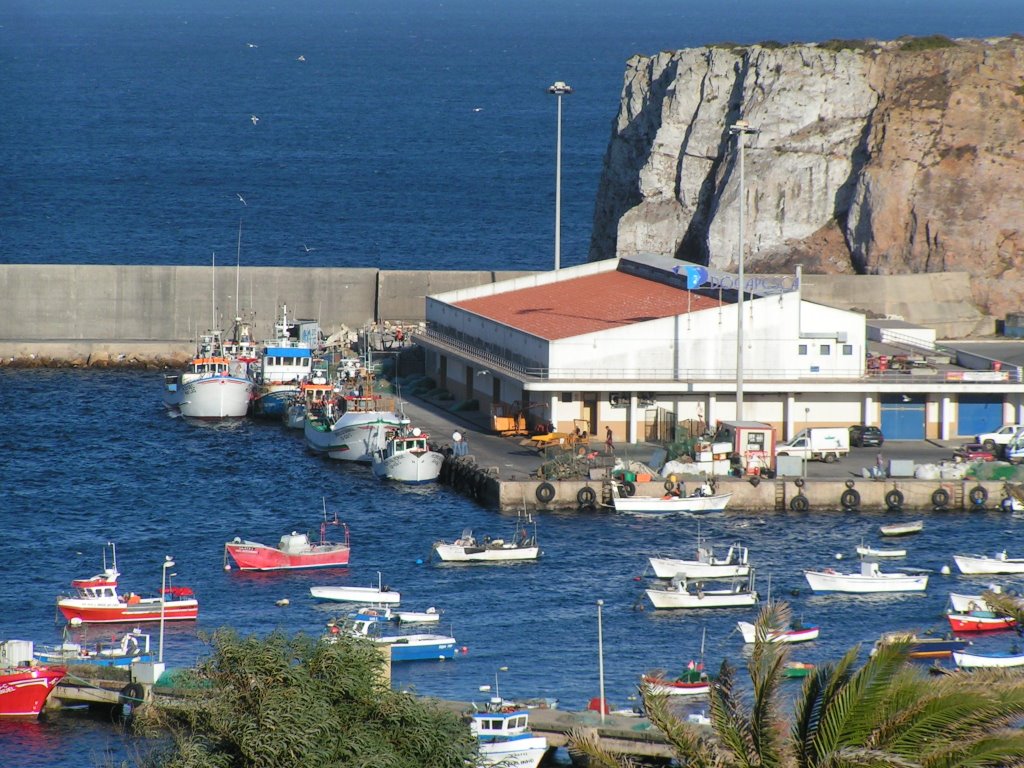 Porto da Baleeira, Sagres by Casimiro Diaz