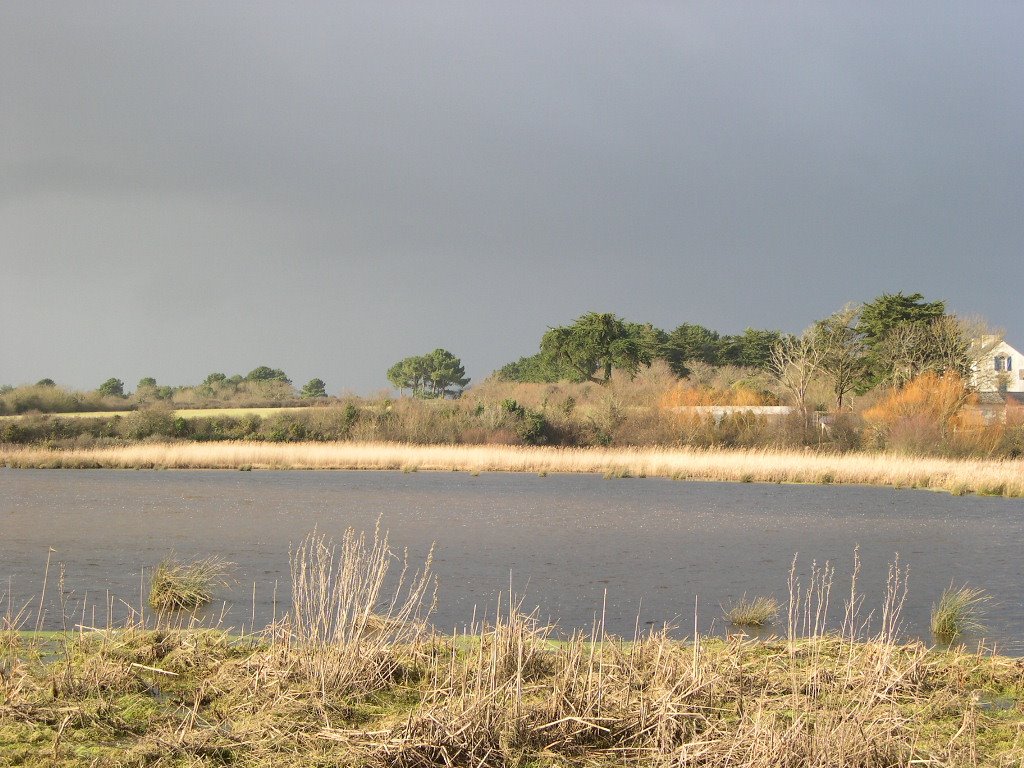 Marais de Suscinio by skal74