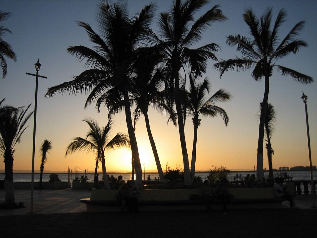 Malecon, Atardecer con Palmeras, La Paz, BCS, Mexico by skyrbiz