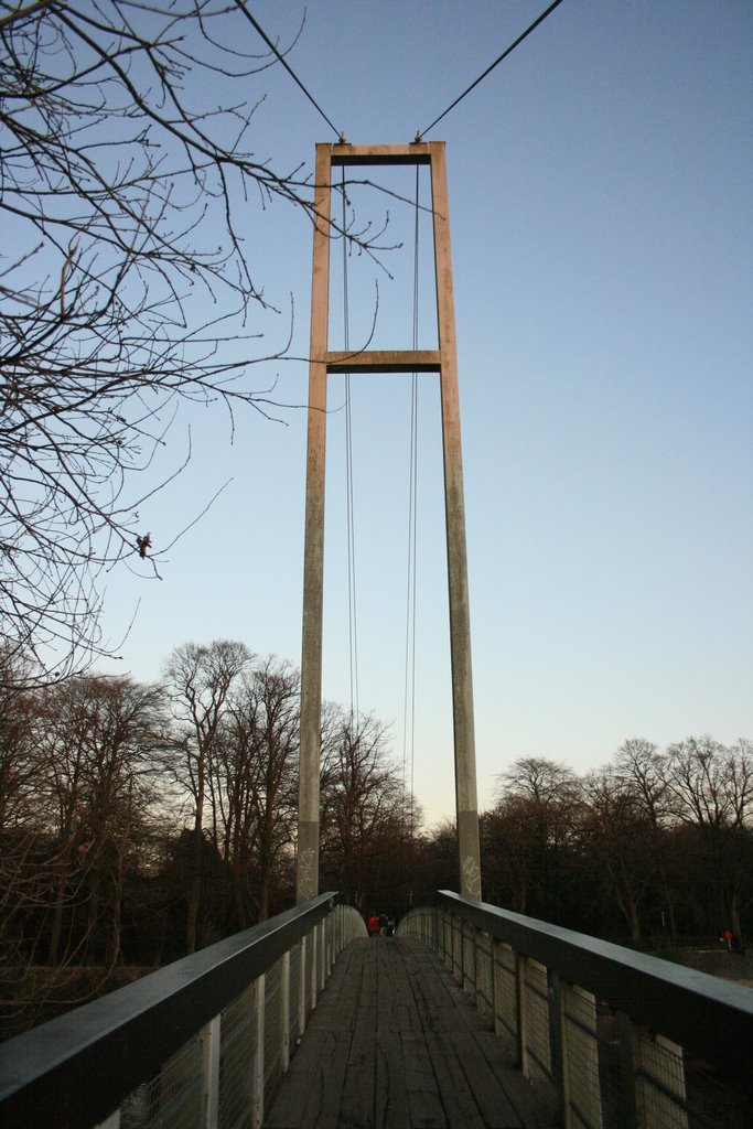 Pontcanna Bridge by lewyh