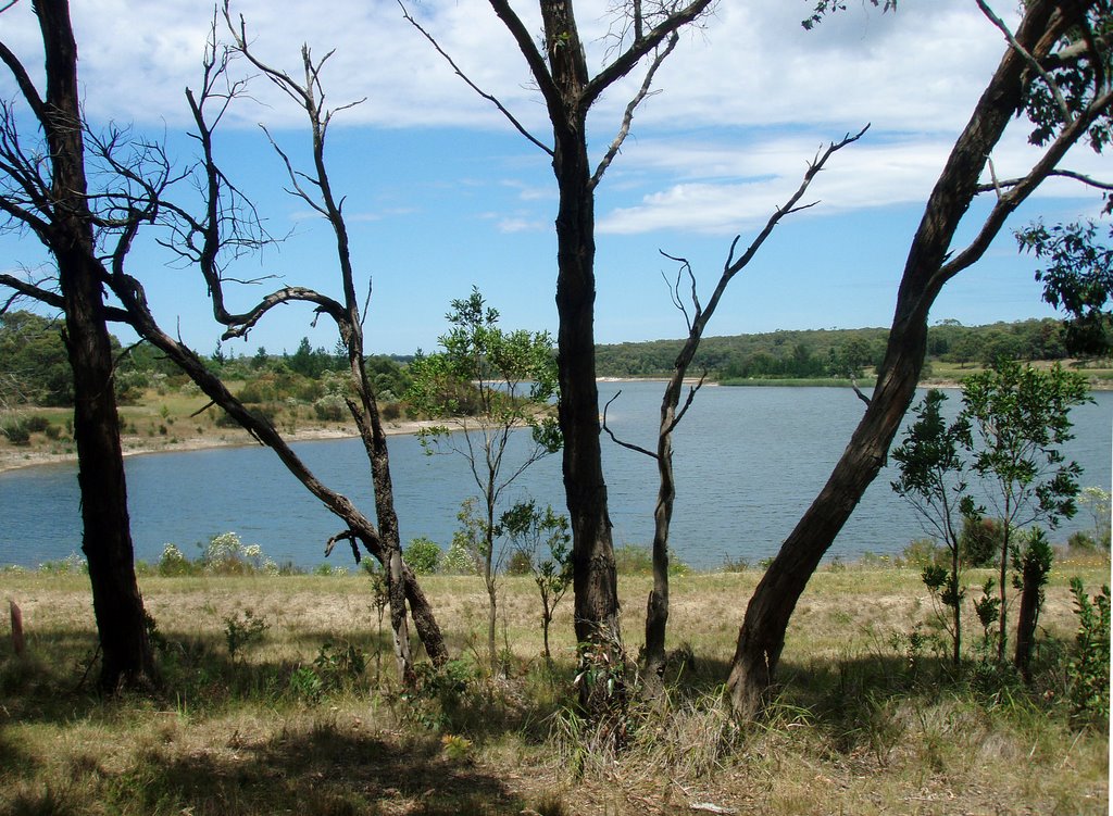 Devibend Reservoir Moorooduc Victoria by ΅ PhotoKazia ΅