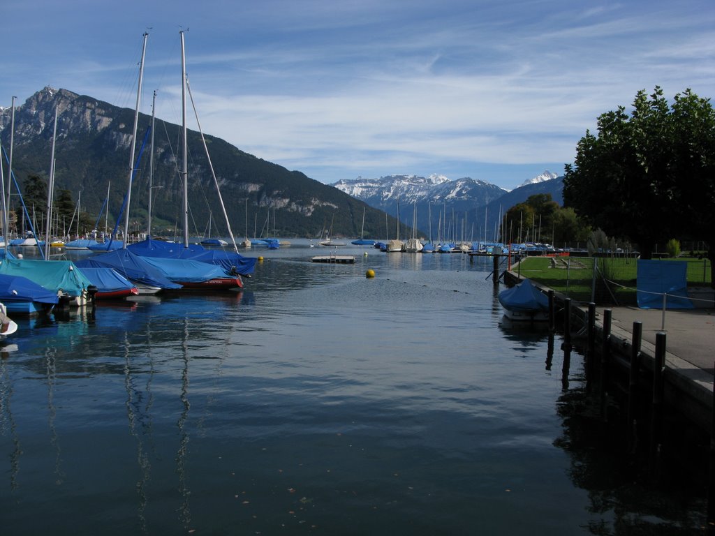 Blick vom Hafen auf den Thuner See by Achim Reeh