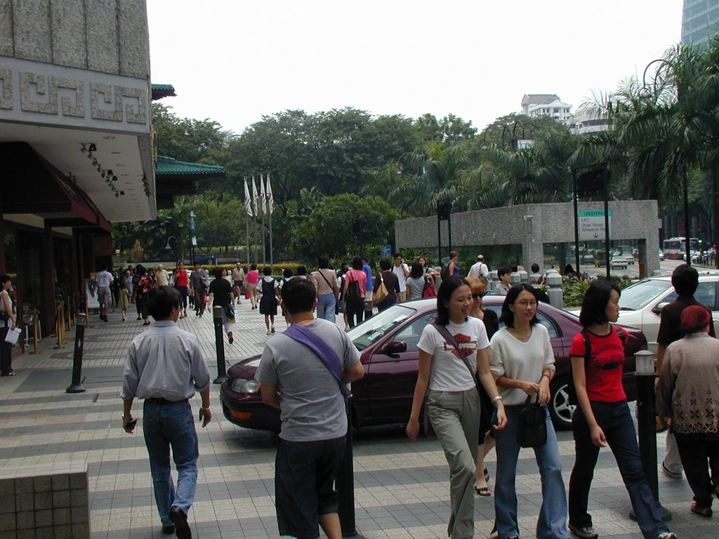 Orchard Road by Yun Zhu