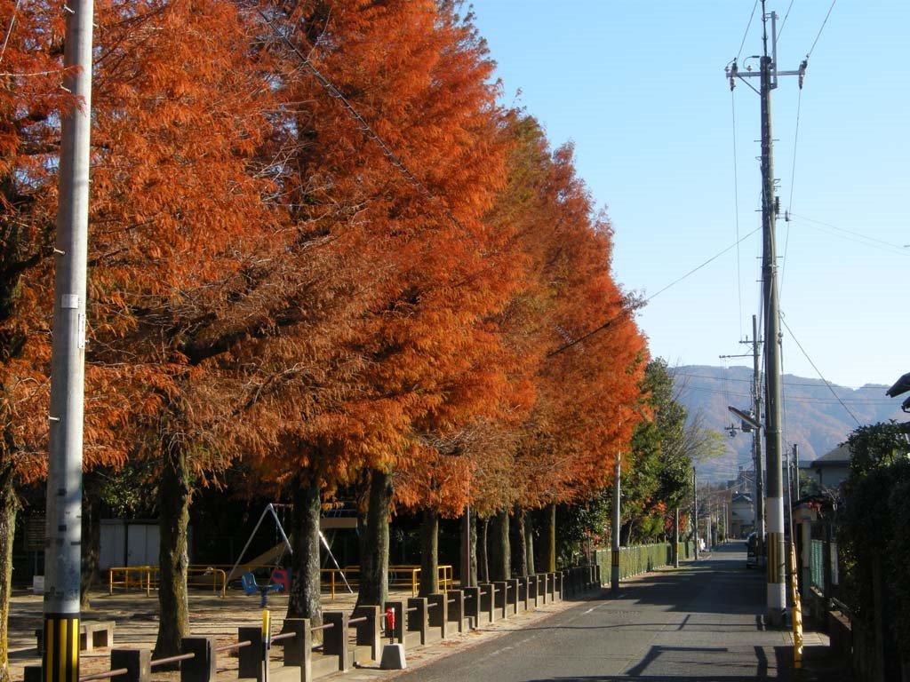 Arround Shimokamo-Matsugasaki,Kyoto city　下鴨松ケ崎あたり（京都市） by butch24h