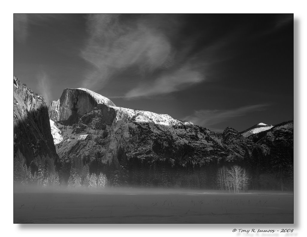 Half Dome, Ahwahnee Meadow by Tony Immoos