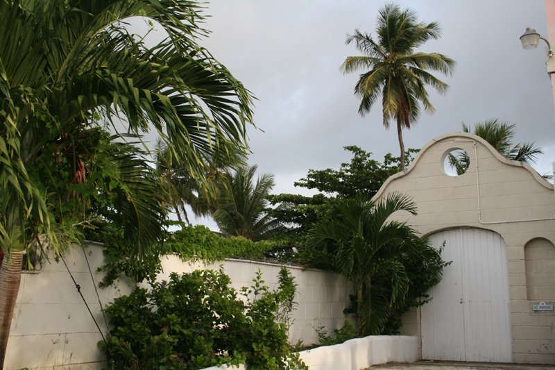 Maxwell Coast, Oistins, Barbados by Krzysztof Kaczala