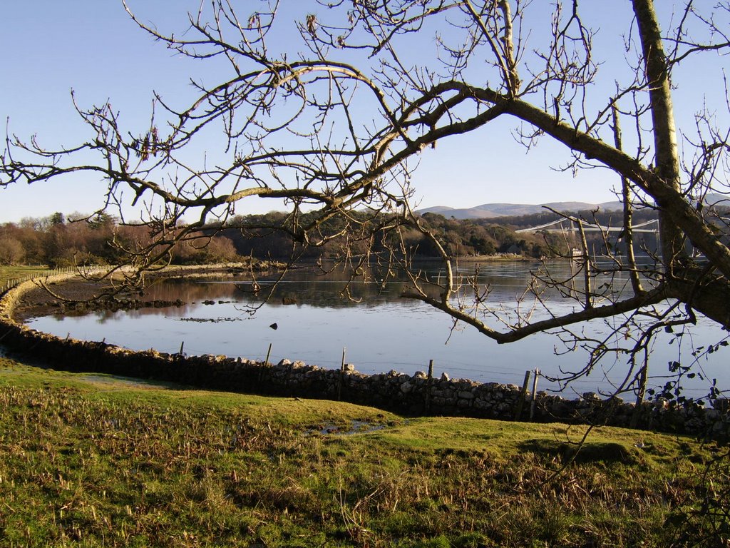 Bridge, Island and bird sanctuary by John Mulder