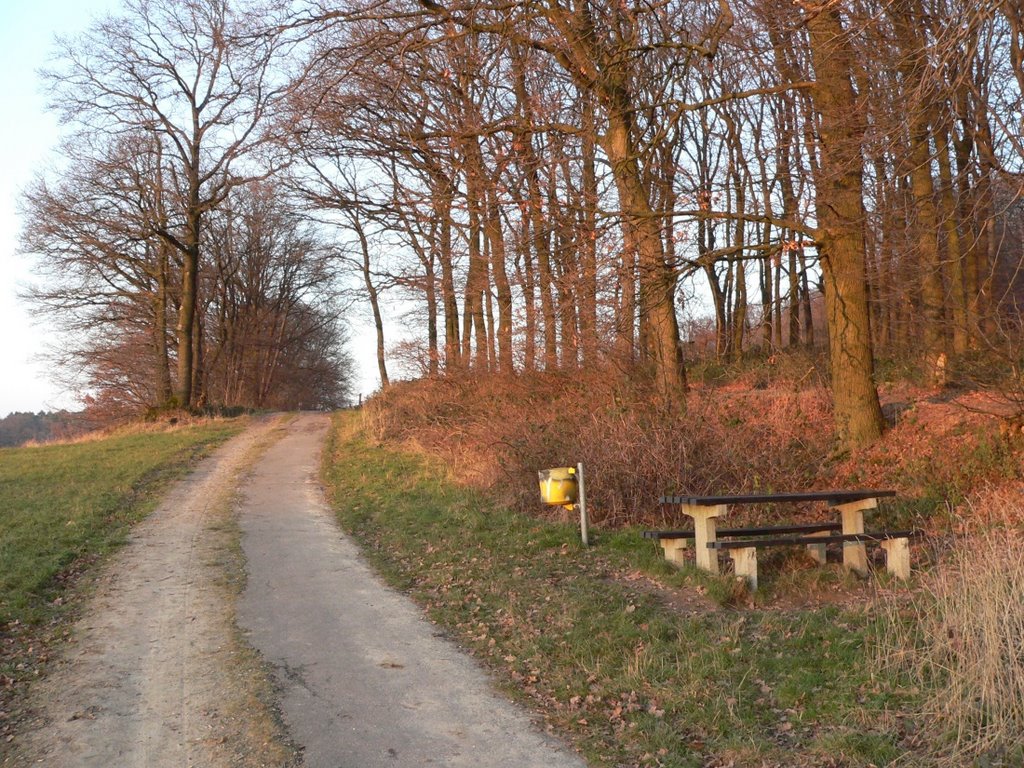 LANDGRAAF schinvelderweg ( volgens panoramio dan .. ) gasse in laatste zon-rest by walterskrutser