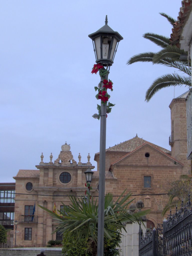 Desde la Calle Jardines by Paco Letras