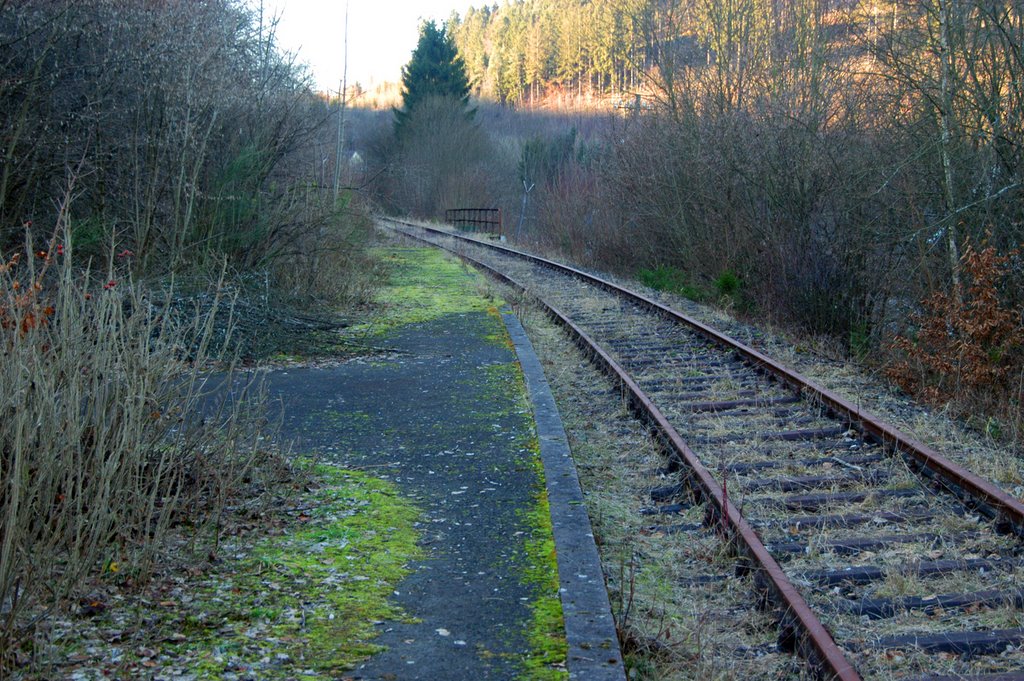 Ehemalige Bahnstation Müllenborn by Billy Eichendorff