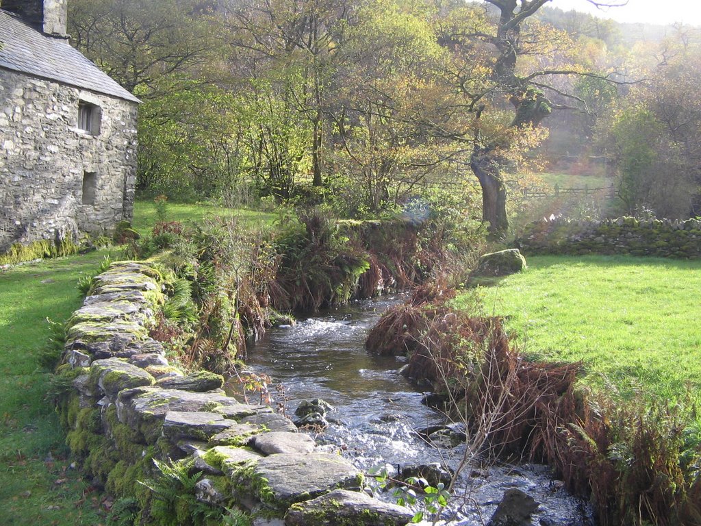 The stream at Ty Mawr by FOTO57DISC