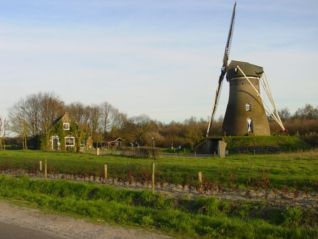 "Johanna Elisabeth" molen Vlierden Ronde Stenen Korenmolen uit 1844/1890. by Dsigna