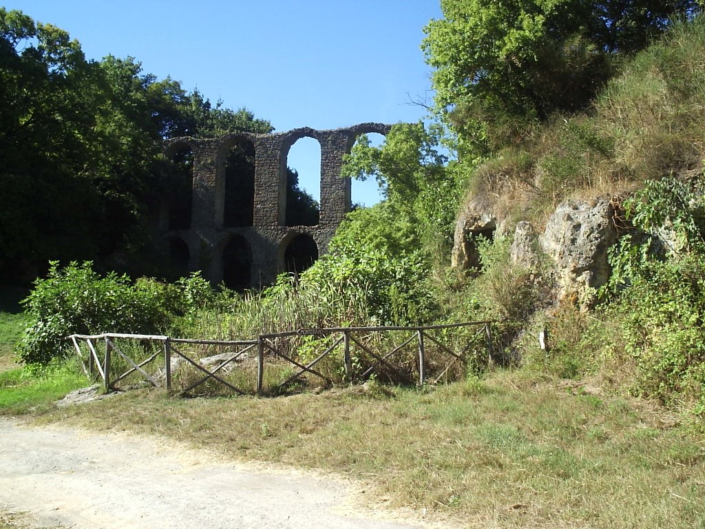 Rovine acquedotto a Monterano by fabionepi