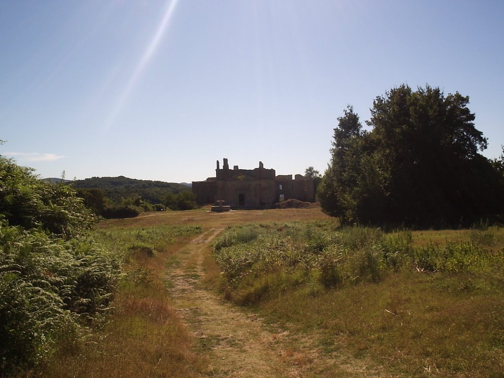 Rovine "berniniane" a Monterano by fabionepi