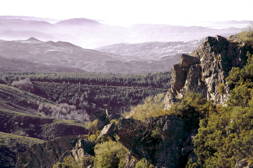 Portugal, Serra do Marão by manuel-magalhaes