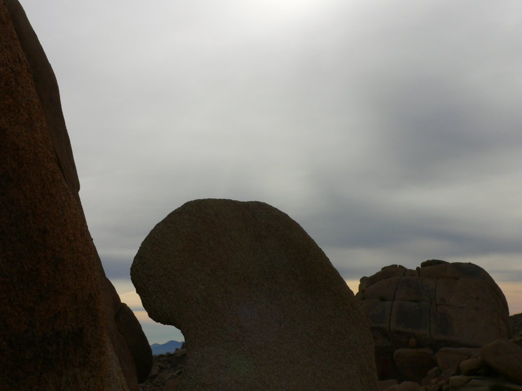 Solitary rocks at Joshua Tree NP by János Hajas