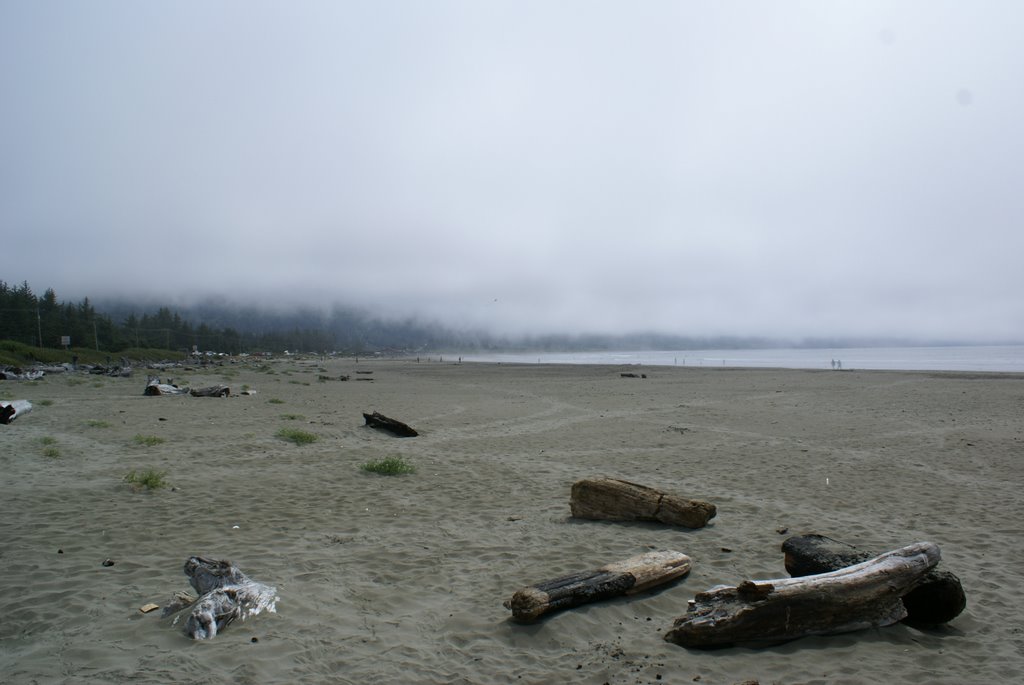 Morning fog on the beach near Crescent City, CA by János Hajas