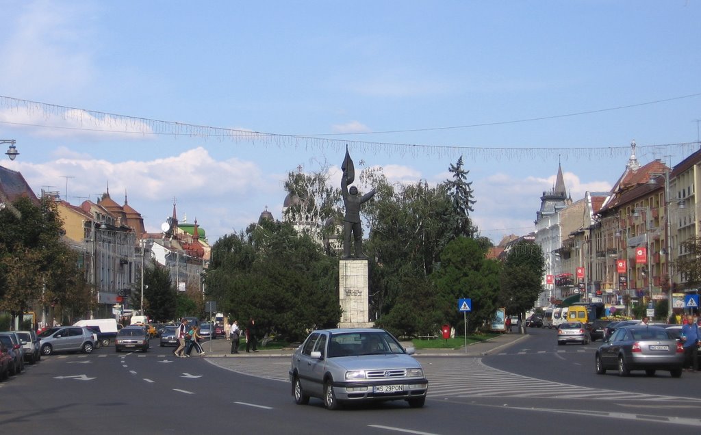 South panorama by Marius Forgaciu