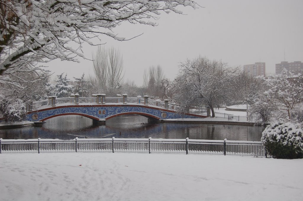 Puente de ceramica en La Alameda con nieve by curielalvarez