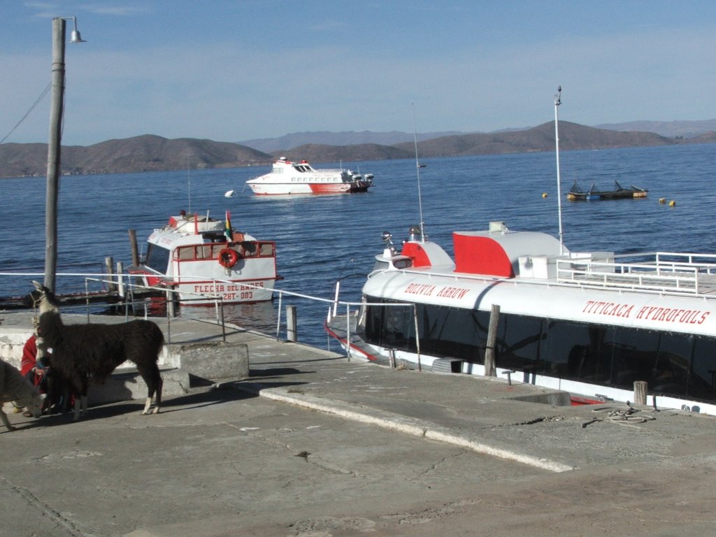 Hydrofoil Lake Titicaca o=k by Olive Kirk